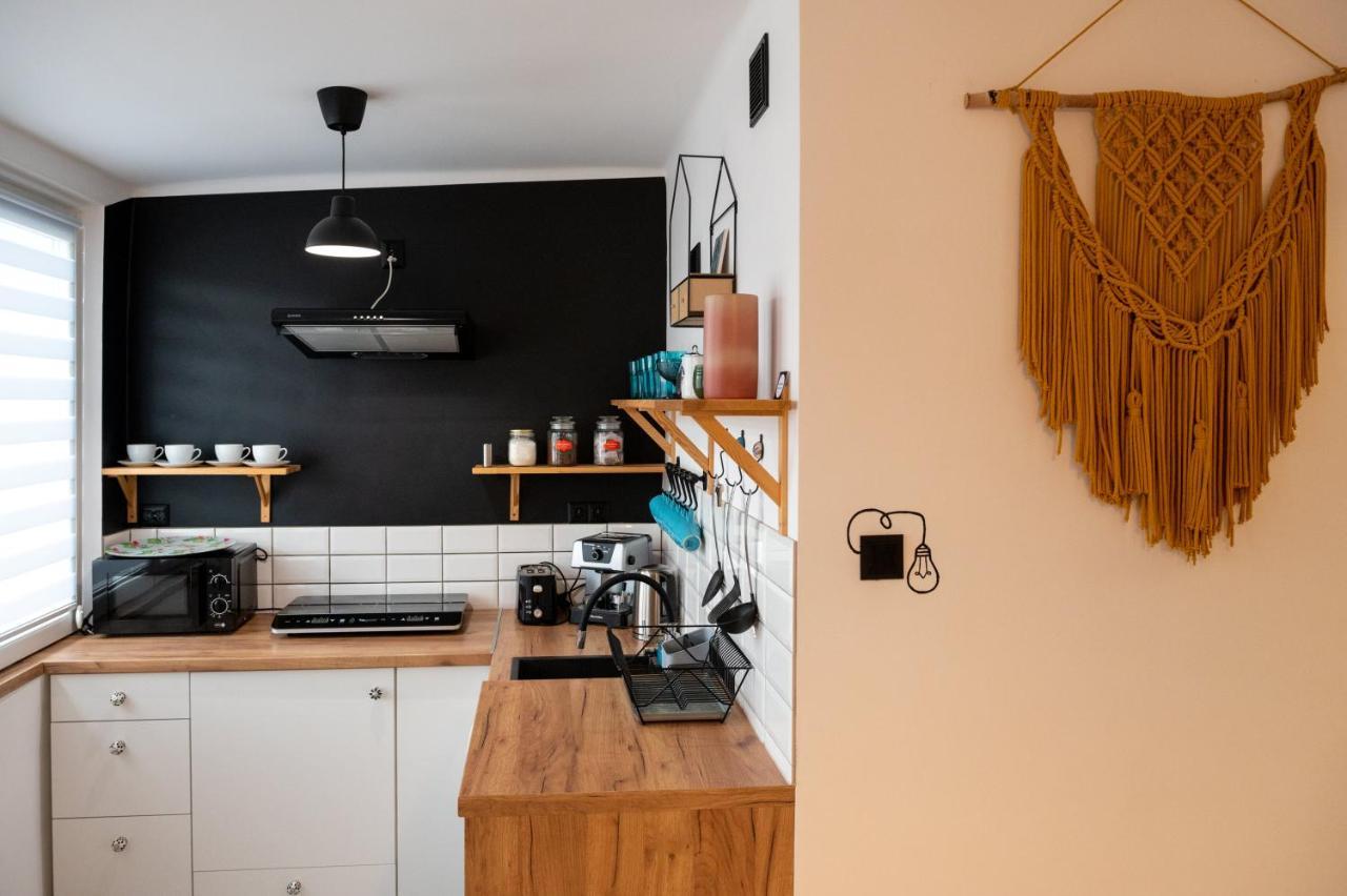 Art Apartament Ustrzyki Dolne Bagian luar foto